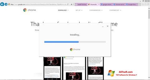 Скріншот Google Chrome Offline Installer для Windows 7