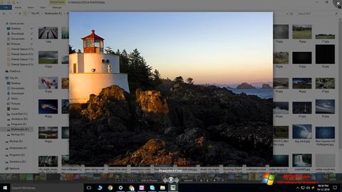 Скріншот Picasa Photo Viewer для Windows 7