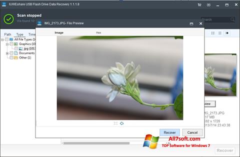 Скріншот USB Flash Drive Recovery для Windows 7