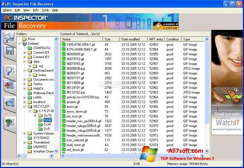 Скріншот PC Inspector File Recovery для Windows 7