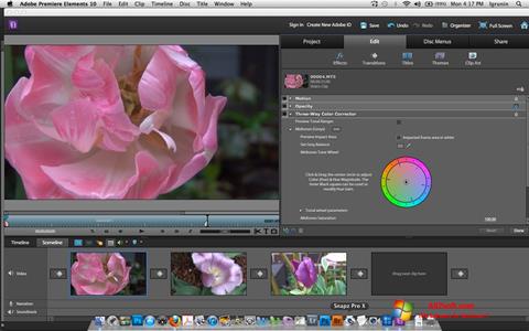 Скріншот Adobe Premiere Elements для Windows 7