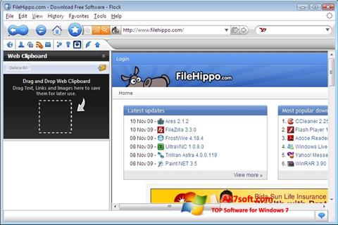Скріншот Flock для Windows 7