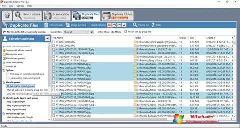 Скріншот Duplicate Cleaner для Windows 7