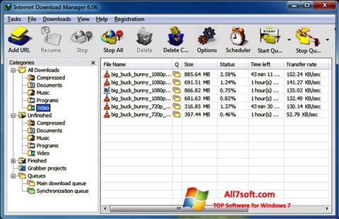 Скріншот Internet Download Manager для Windows 7