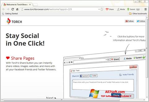 Скріншот Torch Browser для Windows 7