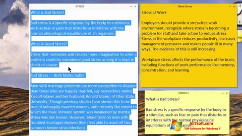 Скріншот Simple Sticky Notes для Windows 7