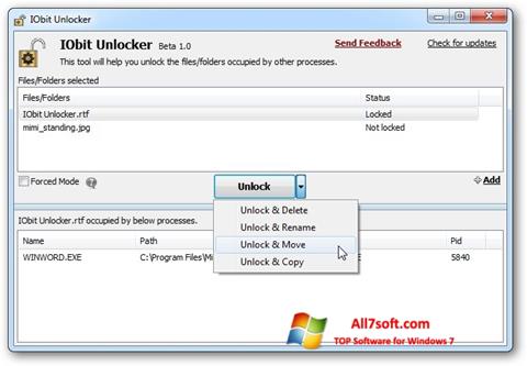 Скріншот IObit Unlocker для Windows 7