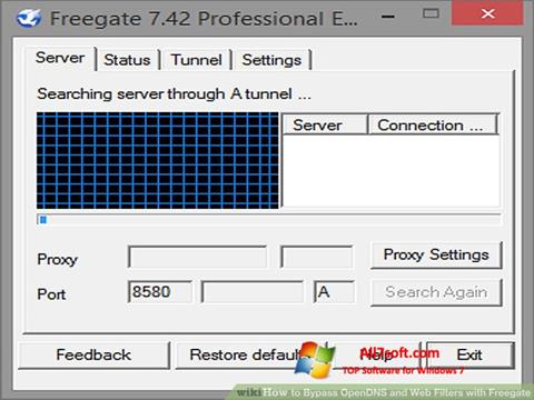 Скріншот Freegate для Windows 7