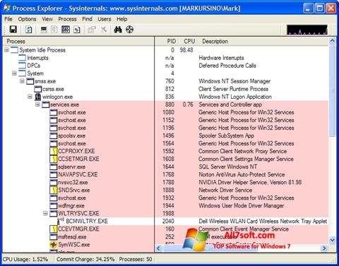 Скріншот Process Explorer для Windows 7